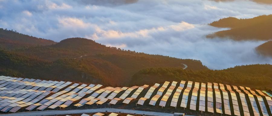 山东兰陵：光伏绿电绘就“农光互补”智慧农业新图景